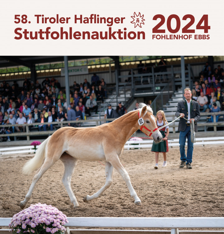 Stutfohlenauktion 2023