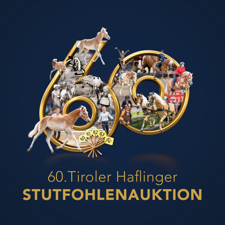 Stutfohlenauktion 2024