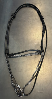 demonstration halter 1